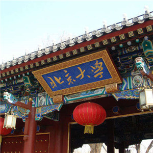 2007年北京大(dà)學項目